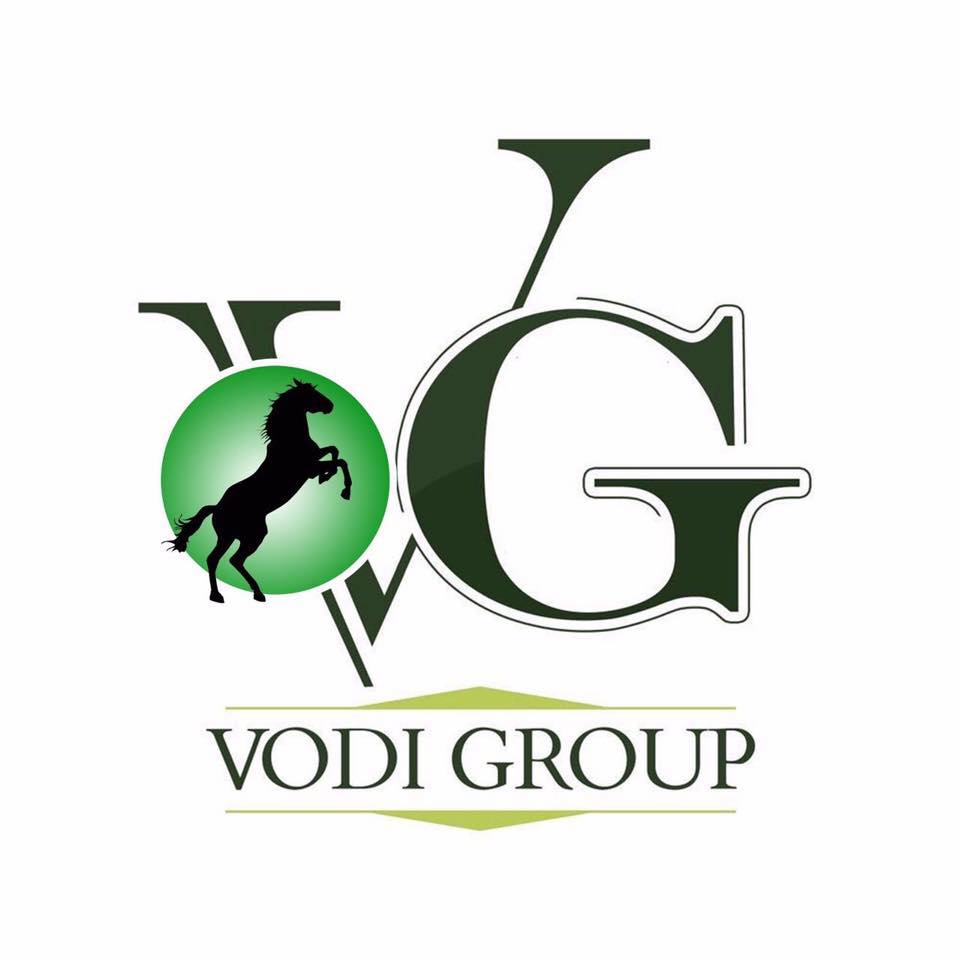 Vodi group logo