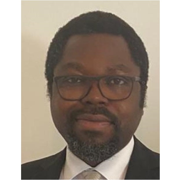 Dr. Chilenye Nwapi Profile image