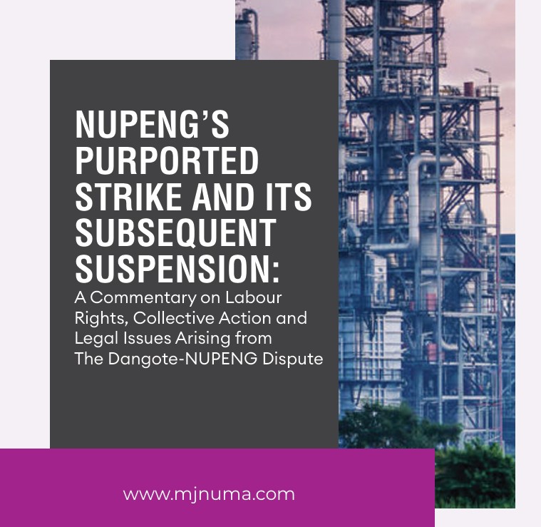 newsletter/article cover image