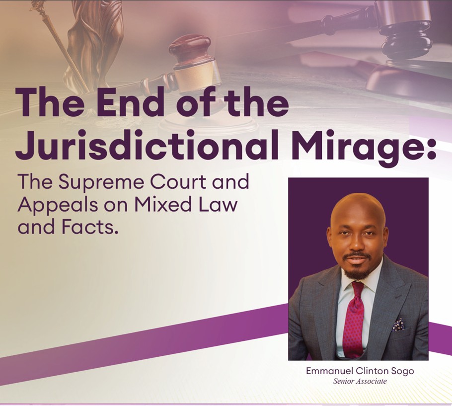 newsletter/article cover image