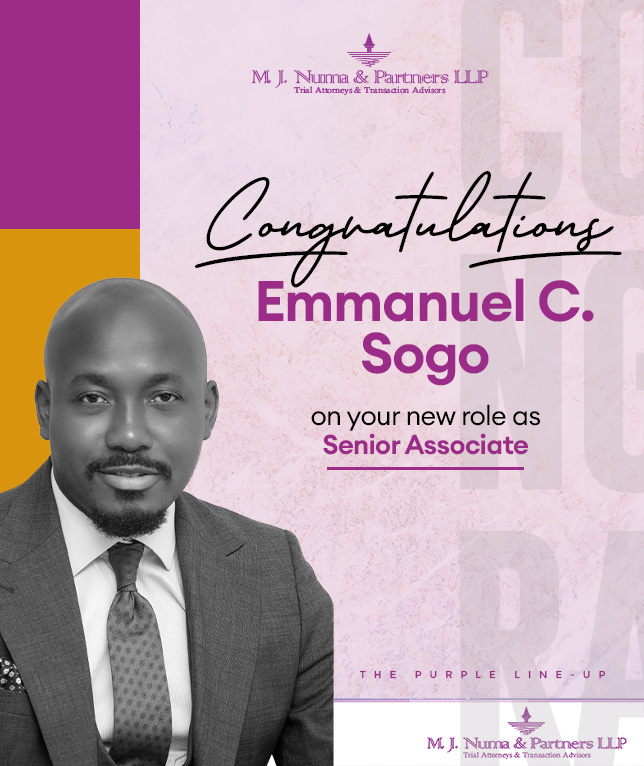 newsletter/article cover image